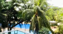 The Marbella (D10), Condominium #576519311